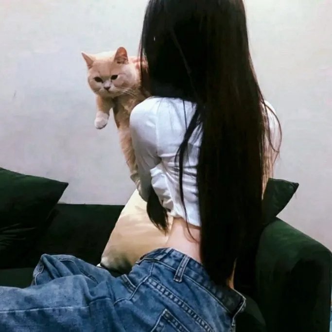 霸王大系龙骑士